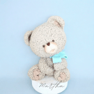 Teddy bear figure decorations 