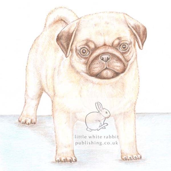 Titus the Pug - Blank Card