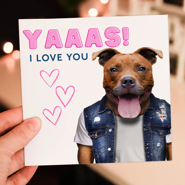 Staffy dog anniversary, Valentine’s Day card: Yaaas I love you