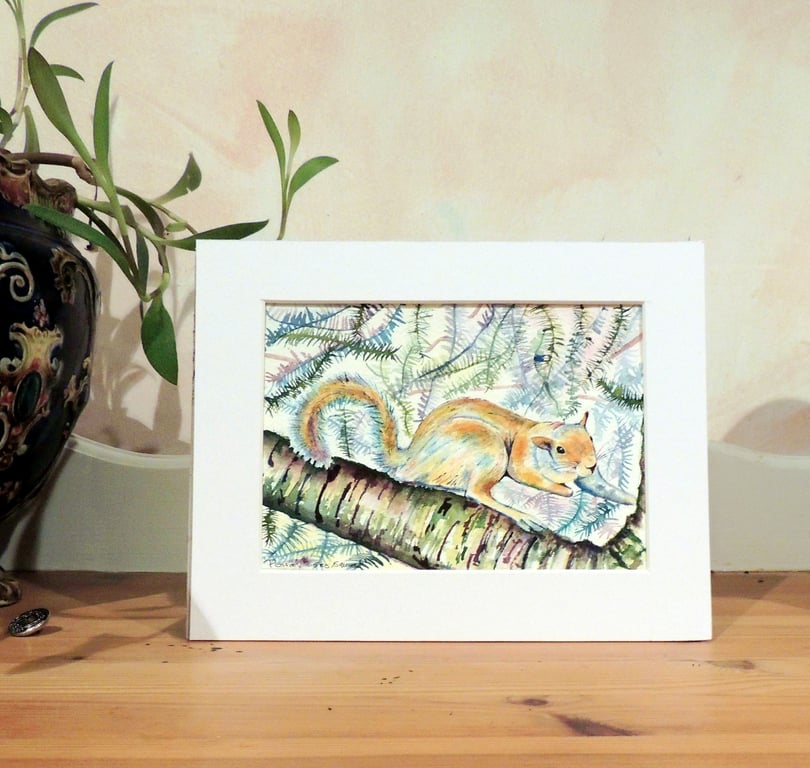 Squirrel Original Modern Fine Art  Painting Wildlife Watercolour