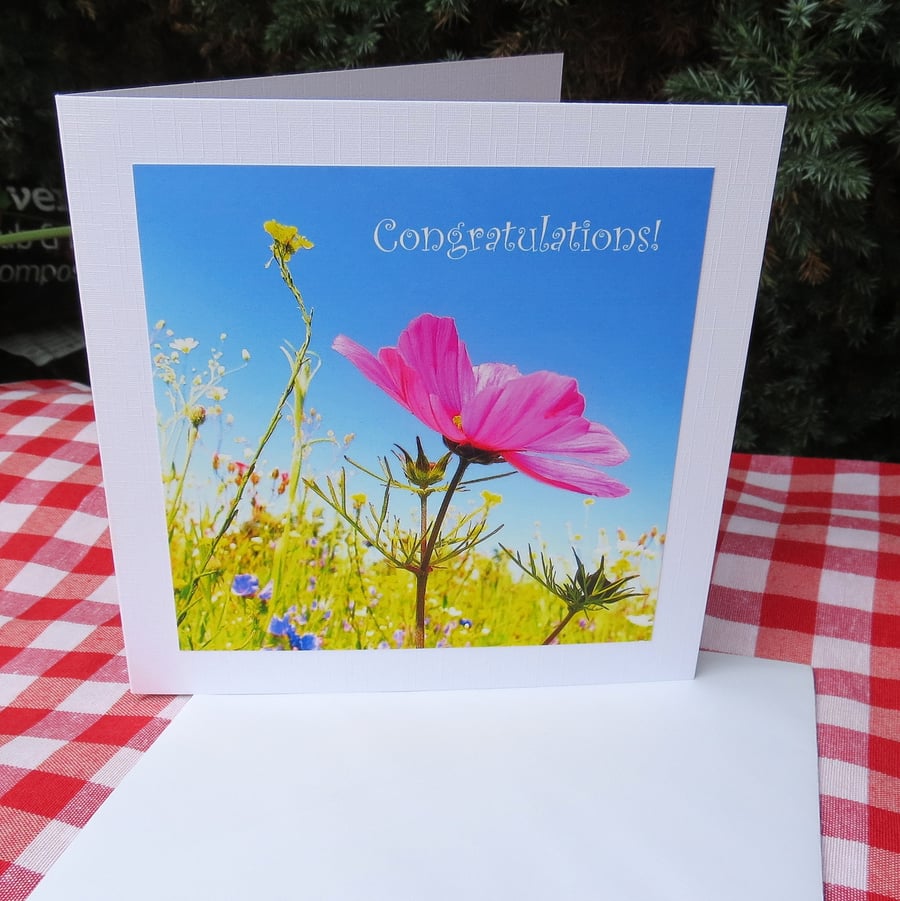 Congratulations!  A card featuring an original photograph.  Blank inside.