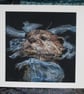 European Otter Fine Art Giclee Prints  - Image 2