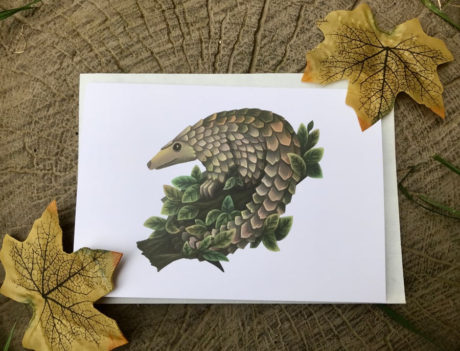 Pangolin Blank Greeting Card