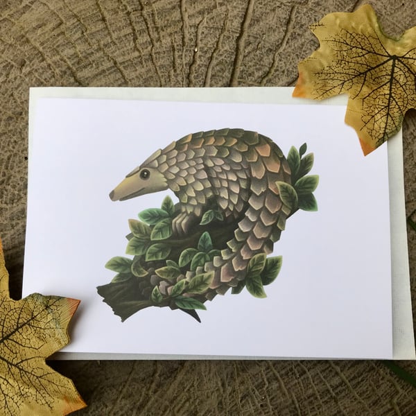 Pangolin Blank Greeting Card