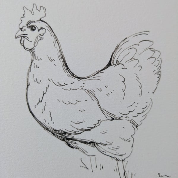 Chicken Sketchbook Page Ink Drawing