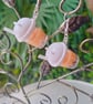 Peach Bubble Tea earrings