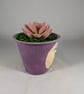 Plum Purple Ceramic Flower Pot Artificial Succulent Plant Ornament Decoration. - Image 4