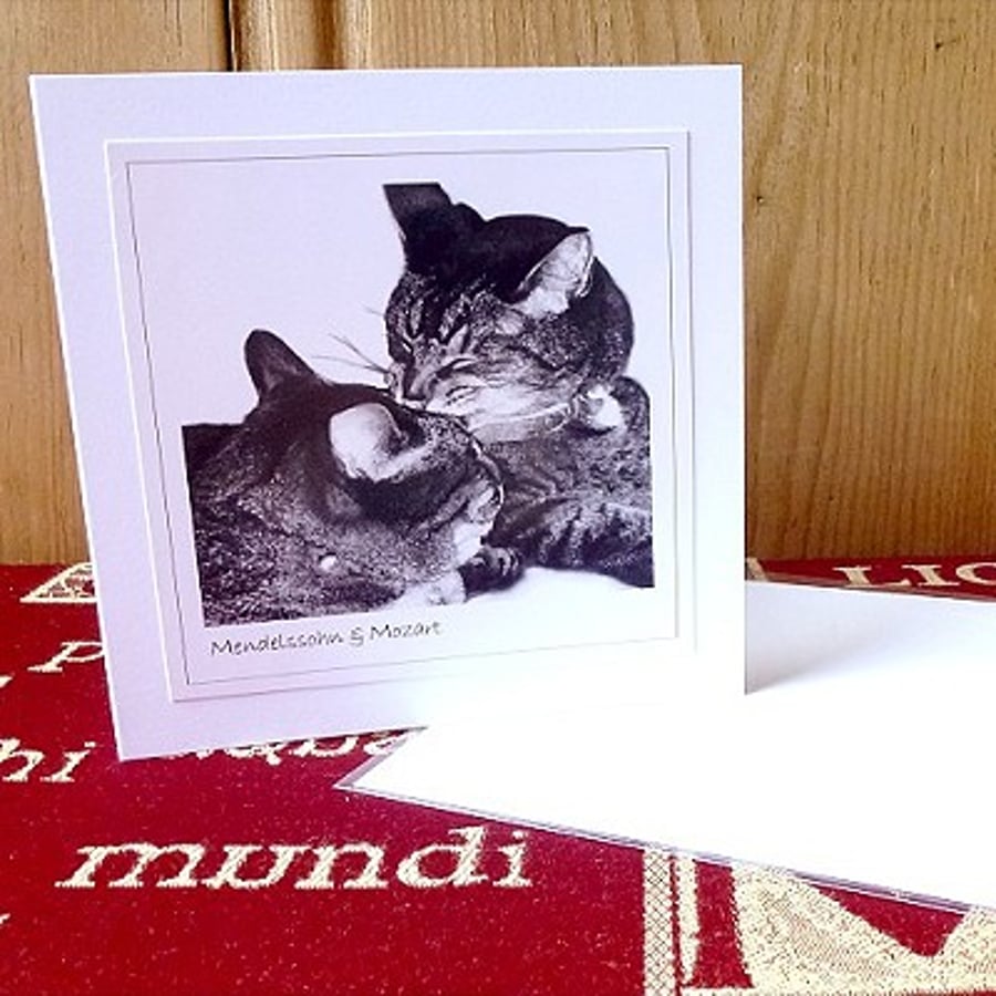 SALE! 4 cards or notelets –‘Cats’ (Crackers, Mendelssohn & Mozart) 