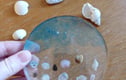 Beach Theme