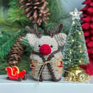 Rudolph Piggy in a Blanket