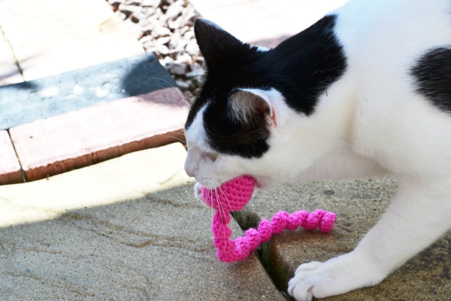 Catnip Ball Twist Cats  Play Toy, Other Colours