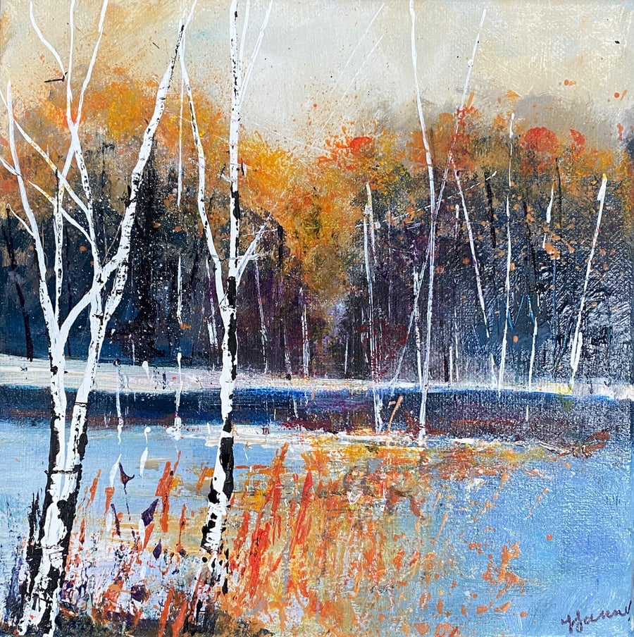 Winter silver birches