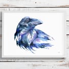 Crow Gaze - giclée art print of original watercolour painting