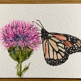 Watercolour of a  butterfly on a thistle ACEO - free UK postage 