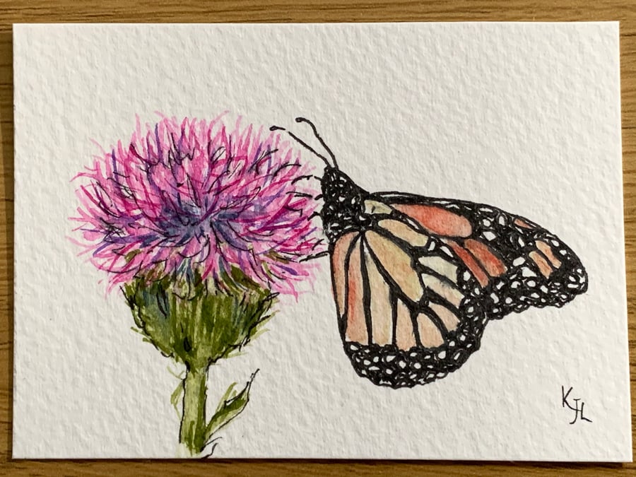 Watercolour of a  butterfly on a thistle ACEO - free UK postage 