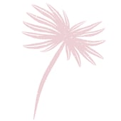 Natures Meadow Designs