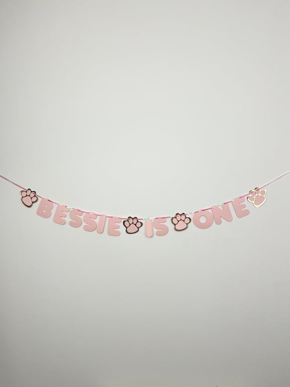 Dog Cat Custom Birthday Banner Personalised Bunting Pink & Gold