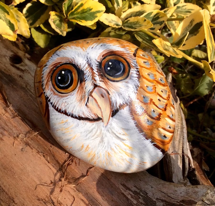 Owl hand painted on rock 