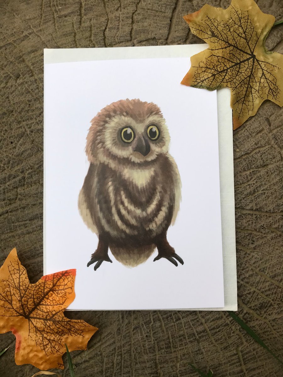 Owl Blank Greeting Card