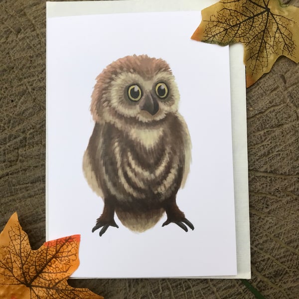 Owl Blank Greeting Card
