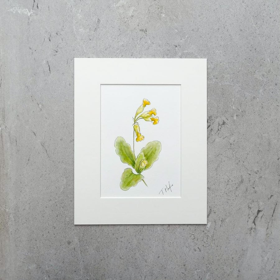 S A L E  Original Art Watercolour Painting Floral Wildflower 'Cowslip'