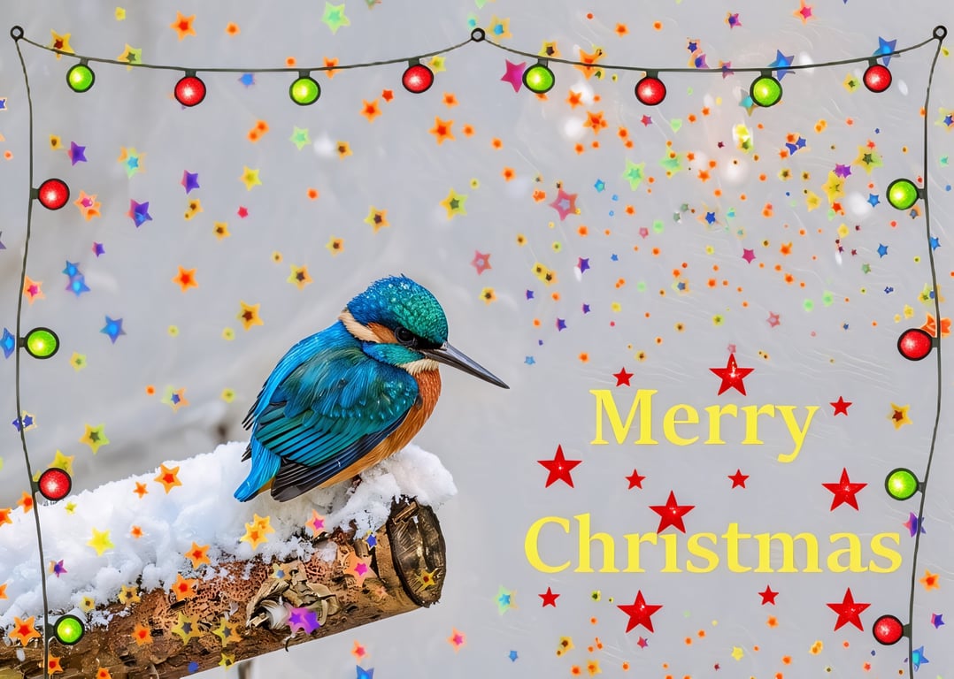 Little Kingfisher Norfolk Christmas Greeting Card A5