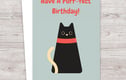 Birthday Cards