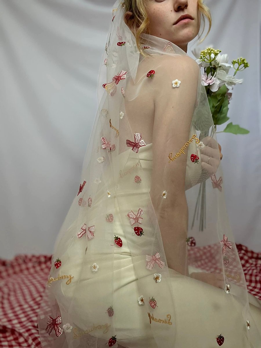 Strawberry Shortcake - Embroidered Veil, Bride To Be Veil
