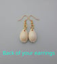 Gold plated cowrie shell earrings for pierced ears. Ref: 443 - Image 3