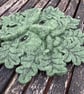 Green man (oak leaves), needle felted woollen sculpture, wall art - Image 3