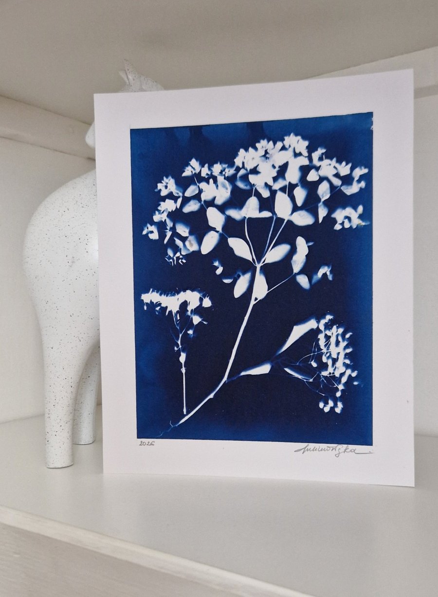 Cyanotype Botanical Print No. 8