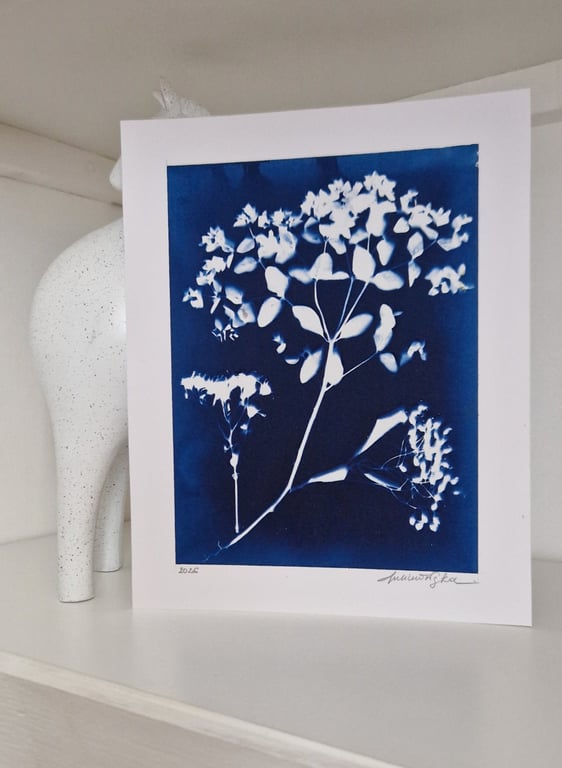 Cyanotype Botanical Print No. 8