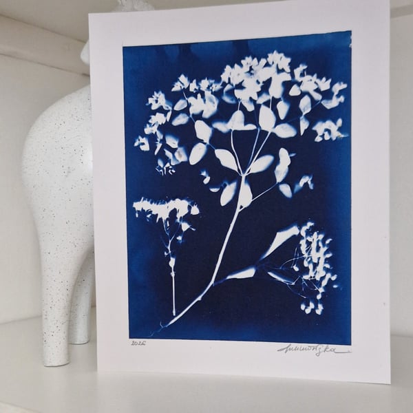 Cyanotype Botanical Print No. 8