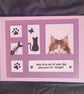 Cats blank greetings card, long-haired cat, windows - Image 2