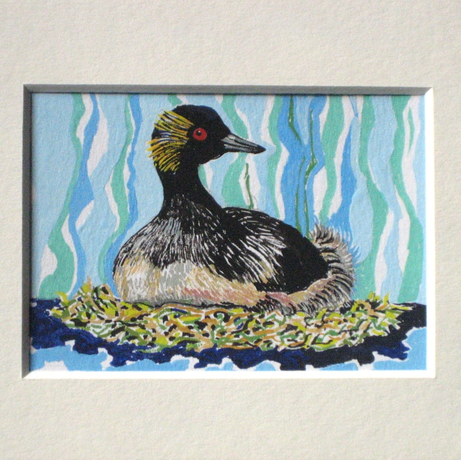 Original Painting ACEO Black-necked Grebe