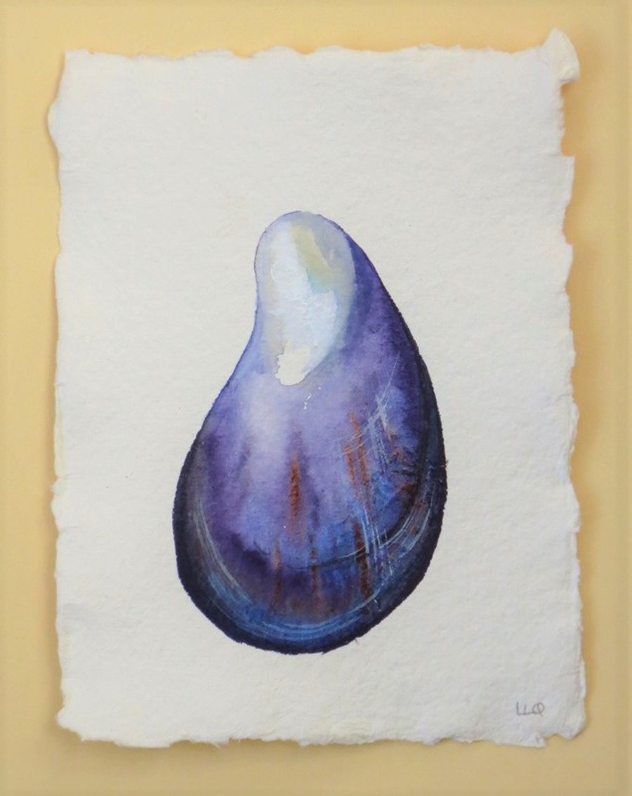 Mussel sea shell original watercolour painting illustration 6x4