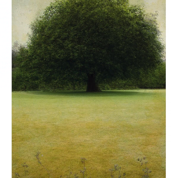 Abstract Fine-Art Tree Print A4 and A3 Sizes