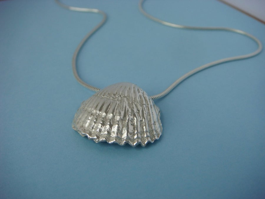 Cockle shell pendant, fine silver on sterling silver snake chain