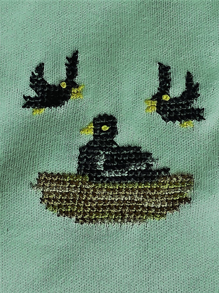 Crow, Long-sleeved, T-shirt, age6, hand embroidered
