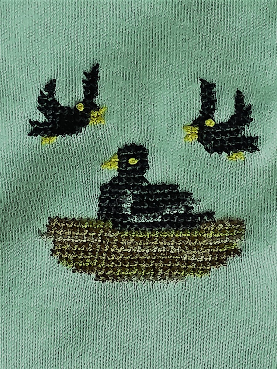 Crow, Long-sleeved, T-shirt, age 6, hand embroidered