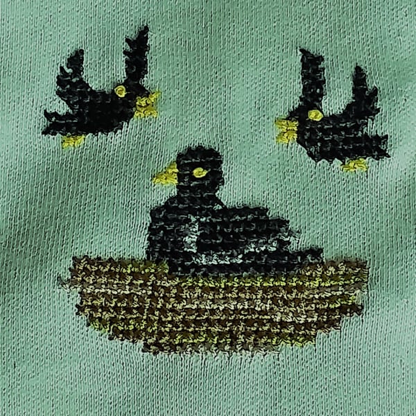 Crow, Long-sleeved, T-shirt, age6, hand embroidered