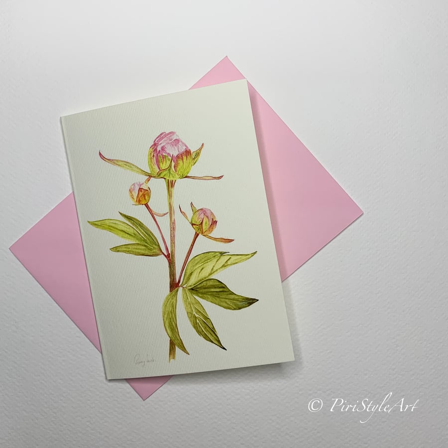  Peony Buds Botanical Greeting Card – Pinks & Greens Collection