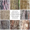Greetings Card - Blank - Set of 4 Tree Bark designs