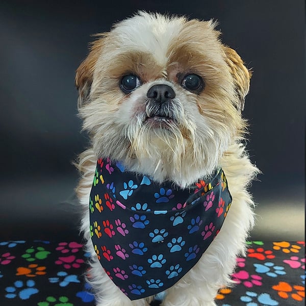 Handmade Dog Bandana Paw print fabric bandana for puppy, dog Personalised dog ne