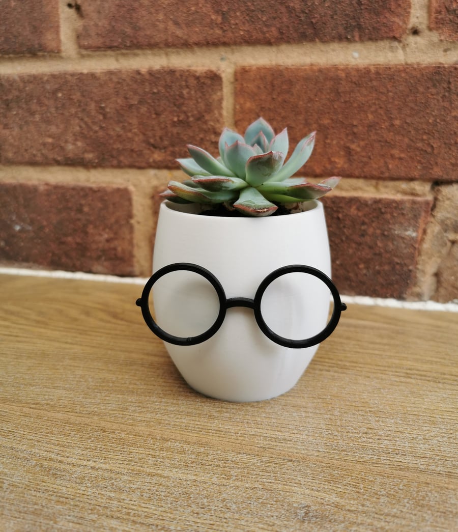 Plant Pot With Glasses, Novelty Planter, Quirky Glasses Plant Pot, Pencil Pot