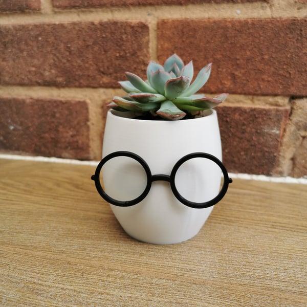 Plant Pot With Glasses, Novelty Planter, Quirky Glasses Plant Pot, Pencil Pot