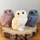 Owl Candle - 100% Soy Wax, Hand-Poured, Vegan-Friendly and Eco-Friendly