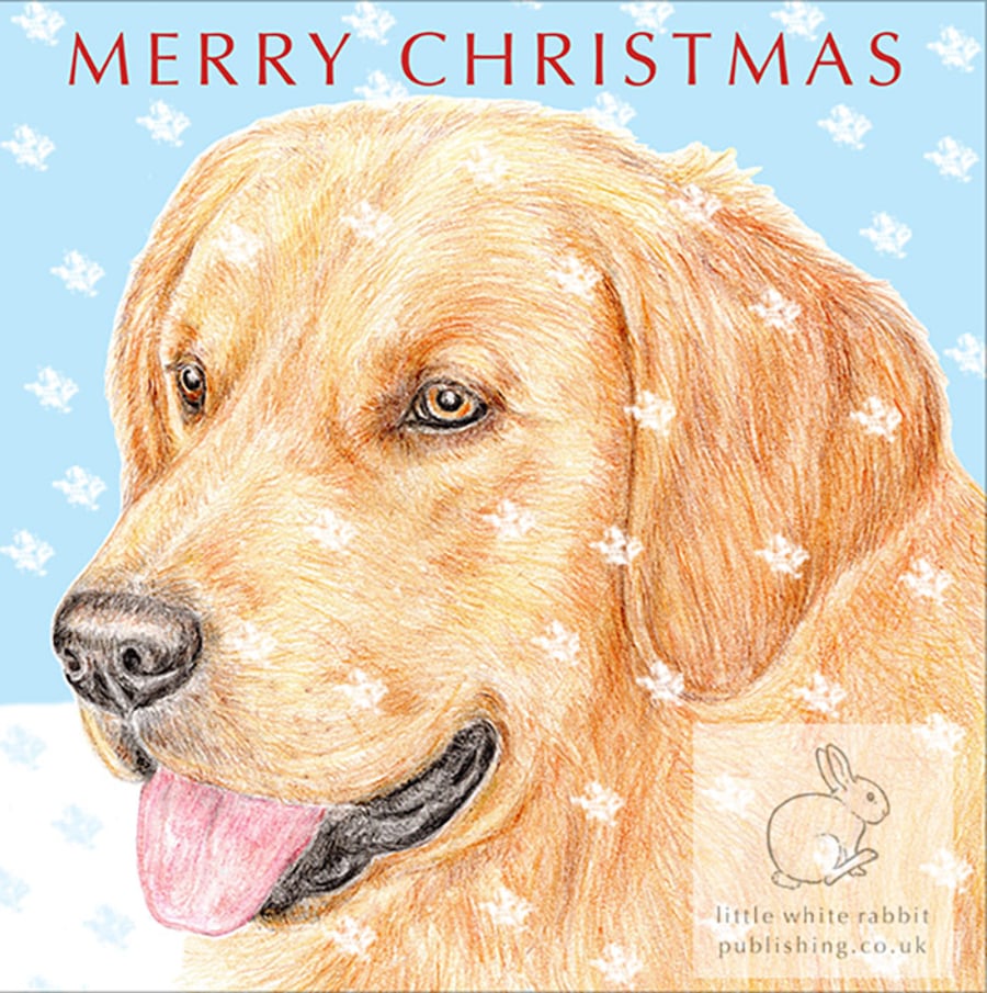 Barley the Golden Retriever - Christmas Card