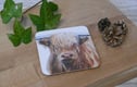 Art Coasters