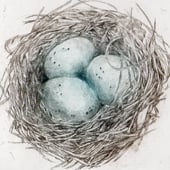 Sarah Bays Original Prints